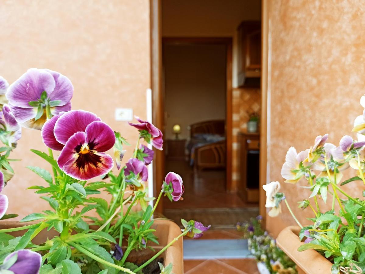 Appartement The Garden
