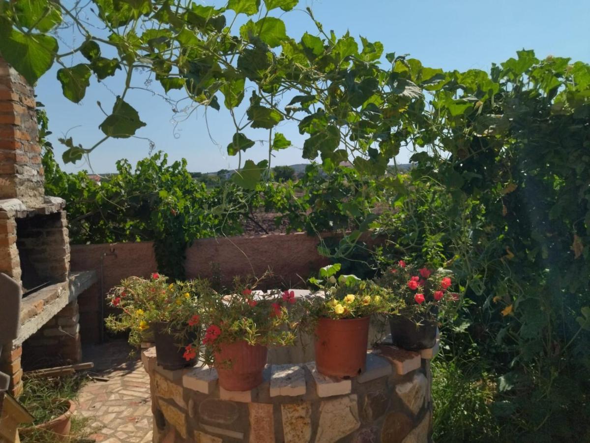 Appartement The Garden