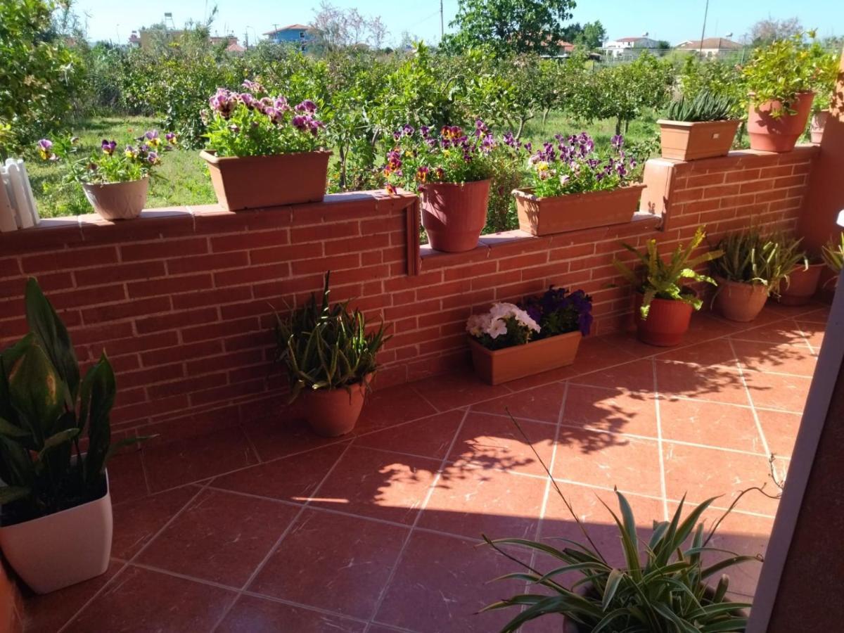Appartement The Garden Divjake
