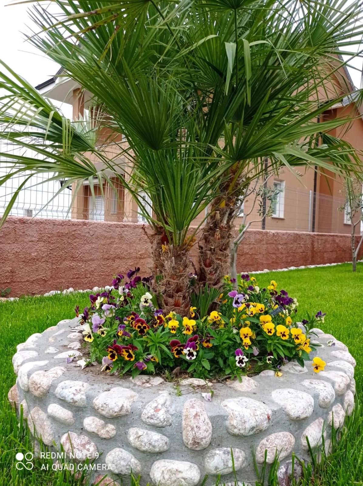 The Garden Appartement